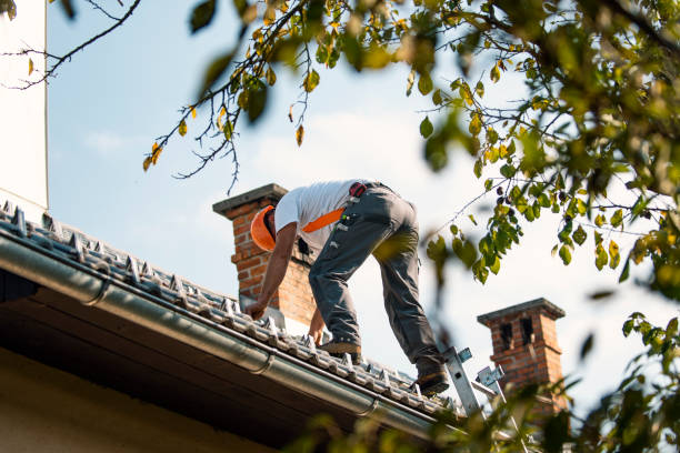 Best Roof Maintenance Services  in Bridgeport, CT